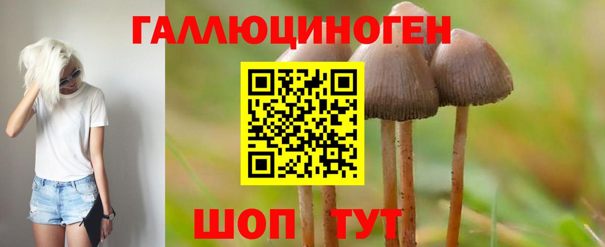 Псилоцибиновые грибы Magic Shrooms  Вход с VPN  где купить наркоту  Галлюциногенные грибы Cubensis  Касимов 